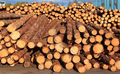 木材生意都有哪些项目，多了解好交易_行业资讯_木头云