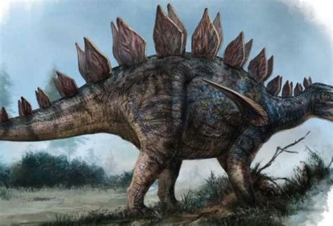 古生物学的例子：有多少恐龙 - 知乎