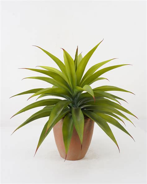 Artificial Tree 60*60*58cm Red Agave in cement pot GS-19222024 - Silk ...