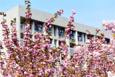 樱花校园模拟器：盘点樱校衣服的隐藏功能_腾讯视频