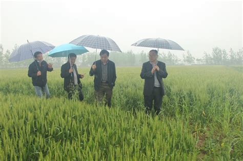 中华农业科教基金会