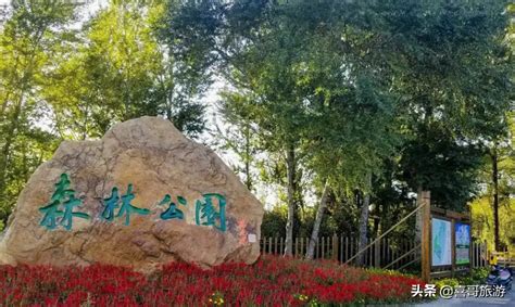 2019中国·盘锦乡村振兴产业博览会即将举办 | 北晚新视觉