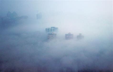 河南大雾塑造仙境郑州-国际在线