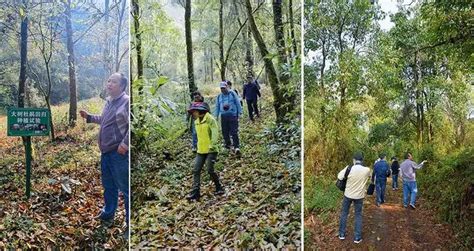关注森林记者行之一：聚焦生物多样性 走进高黎贡山国家级自然保护区-全国三亿青少年进森林研学教育活动官网