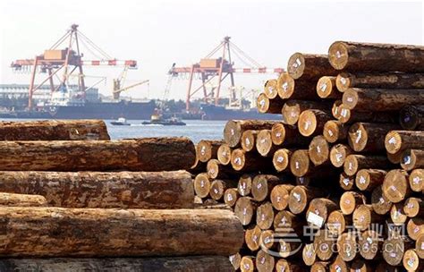 最新国际木材出口政策变动_行业新闻_资讯_整木网