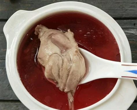【红菇炖海鸭的做法视频_红菇炖海鸭的做法步骤】_下厨房