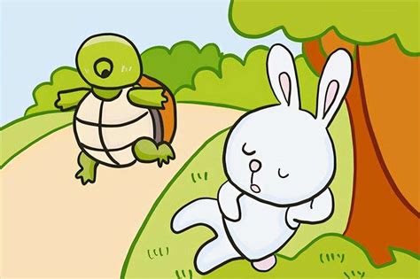 龟兔赛跑-更新更全更受欢迎的影视网站-在线观看
