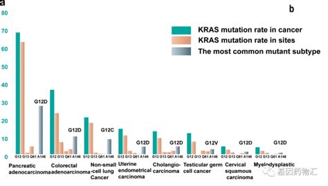 KRAS突变治疗用什么药,KRAS突变靶向药/KRAS抑制剂有哪些_全球肿瘤医生网