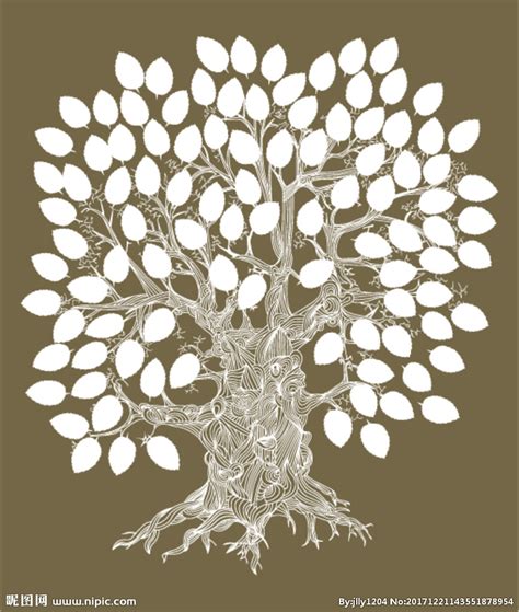 不锈钢树牌树名牌二维码介绍定做树木介绍牌树木名称标识标牌厂家-阿里巴巴