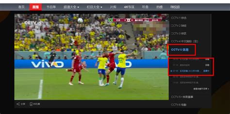 电脑CCTV怎么观看世界杯直播和回放_360新知