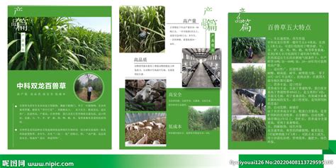 生态养殖设计图__海报设计_广告设计_设计图库_昵图网nipic.com