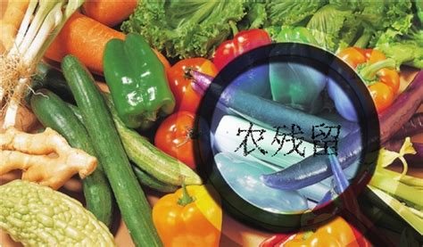 中国市售水果蔬菜农药残留报告（2015～2019）（西南卷）_分析化学_化学_图书分类_科学商城——科学出版社官网