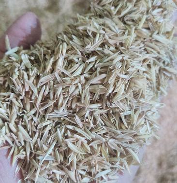 [稻壳批发]谷壳广西桂林厂家直销日产80吨，每包24到30斤价格488.00元/吨 - 一亩田