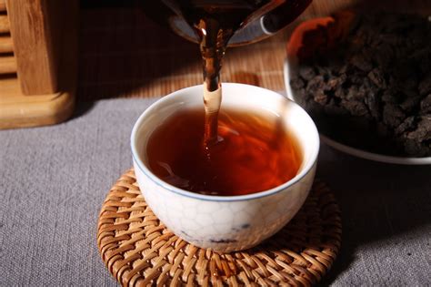 云南普洱体验特色“茶菜宴” 感受“舌尖上的美味”|茶叶|普洱|云南_新浪新闻