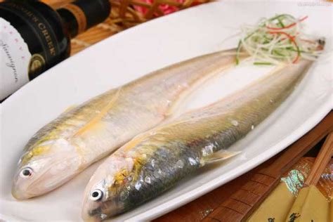 回味中的长江三鲜：刀鱼、鲥鱼、河豚_山东频道_凤凰网