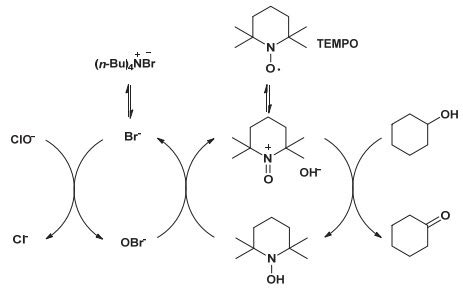 2-乙酰基环己酮的性状、用途及合成方法 - 天山医学院