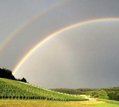 彩虹之前必先经历风雨的励志故事