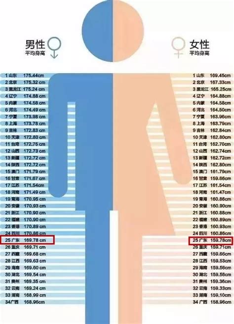 美国男性的的平均身高和体重是多少？