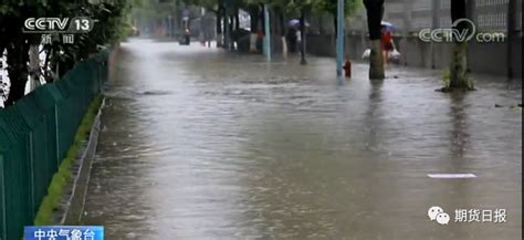 浅析长江流域暴雨天气对饲料需求的影响