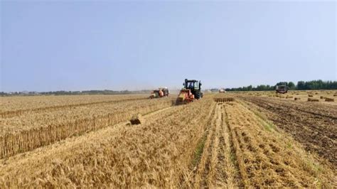 农机化技术推广典型案例之打造全程机械化示范基地 引领农机化高质量发展