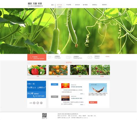 农产品网站制作方案|农产品网站模板|农产品网站源码免费下载