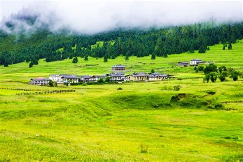 西藏地区林芝县地区的海拔多高-林芝的海拔高度