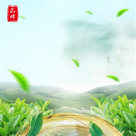 茶叶绿色创意淘宝主图背景素材图片下载-万素网