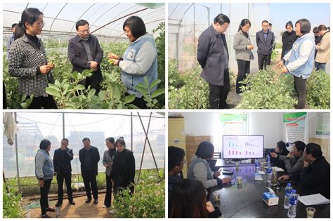 如皋信息农业专家工作站-欢迎访问南京农业大学新农村发展研究院办公室