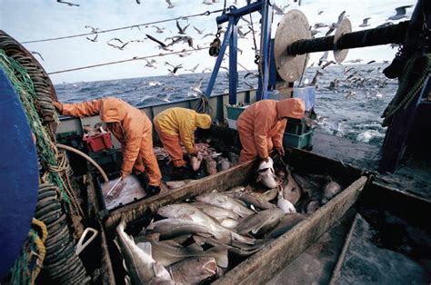 南海所执行西中沙海域2014年第2航次渔业资源调查任务-南海水产研究所