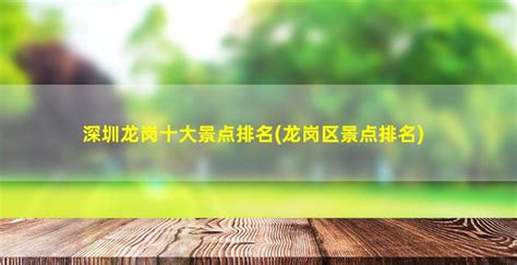 2022年龙岗区PCT国际专利申请量排名全市第一_深圳24小时_深新闻_奥一网