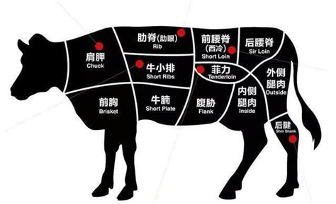 牛排的部位图解（牛身上哪块肉做牛排最好吃） – 碳资讯