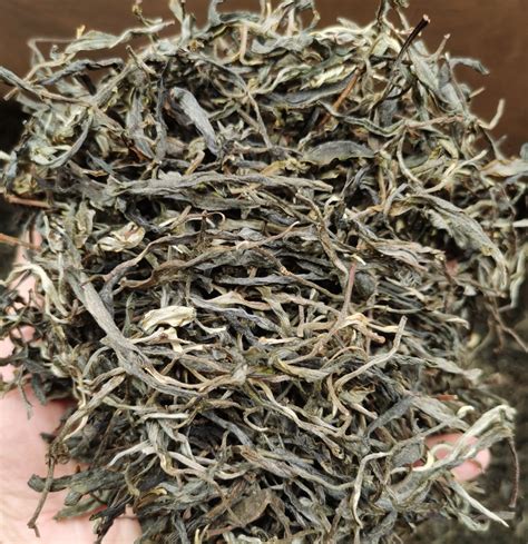 勐海布朗古树白茶 滋味香醇 甜韵明显 350克云南白茶 老树 大叶种-藏锋号