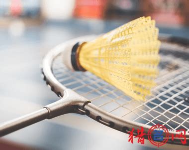 为什么羽毛球 网球的单双打的边界线不一样呢？