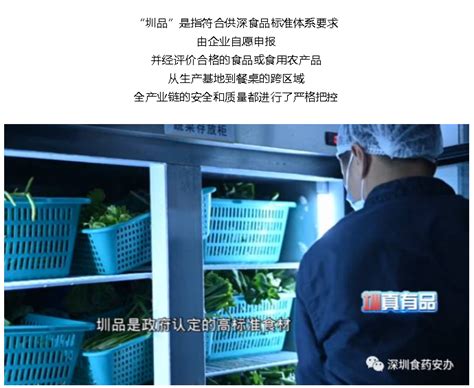 六 . 服务优势-深圳绿都膳食管理有限公司