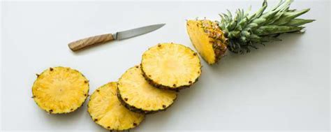菠萝苗种植多久后结果 菠萝的生长周期_知秀网