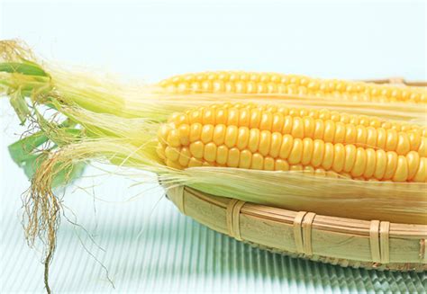 玉米须的功效与作用-农百科