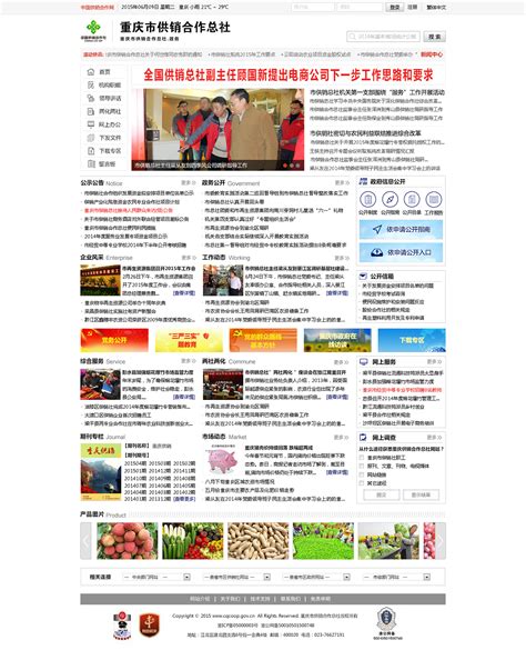 重庆市供销合作总社网站_箜篌菜-站酷ZCOOL