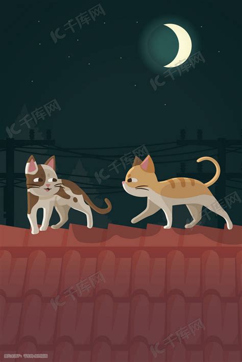 动物之夜晚屋顶上的猫插画图片-千库网