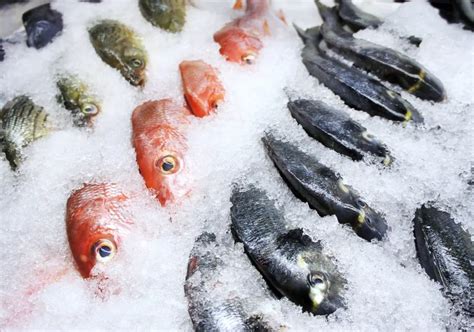 【健康】防癌补脑养胃降血脂！冬天最适合吃这些鱼，遇到可多买些