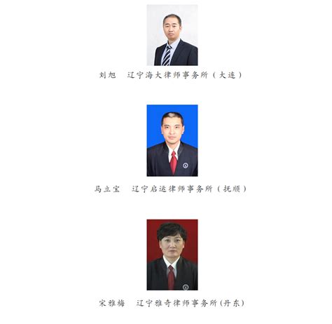 热烈祝贺盈科沈阳分所四位股权高级合伙人律师被授予“2015年度沈阳市优秀律师”称号_北京盈科（沈阳）律师事务所