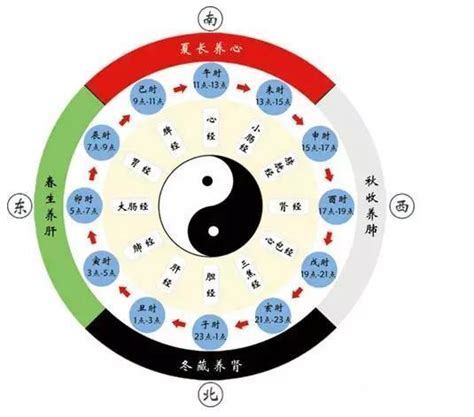 子午流注图图片