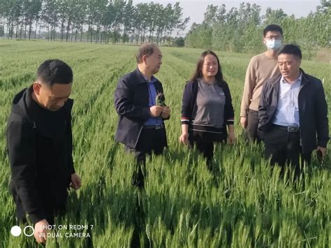 濮阳市：2022年秋季作物病虫害防控现场会召开 - 河南省植保新技术推广网