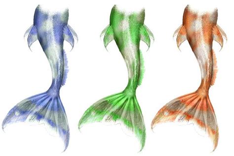 美人鱼 人鱼 滨海 神话 尾巴 鱼 鳍 传说 动物 透明图片下载 - 觅知网
