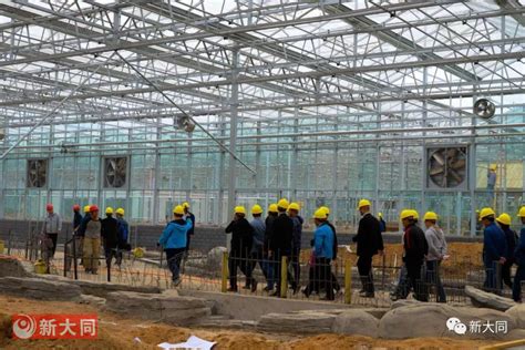 专业网站建设公司该怎么选择_云南才力信息技术有限公司