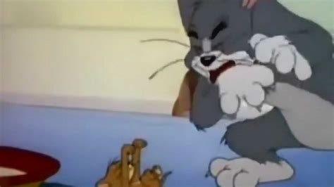 猫和老鼠：天津方言版，汤姆称呼杰瑞梆子，太搞笑了！_腾讯视频