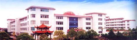 衡阳市第十五中学成功举办第43届校运会 - 教育资讯 - 新湖南