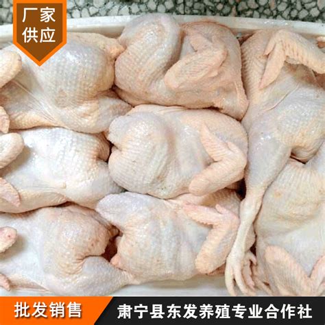 厂家批发新鲜冷冻老母鸡 土鸡 整白条鸡 净36斤/箱-阿里巴巴
