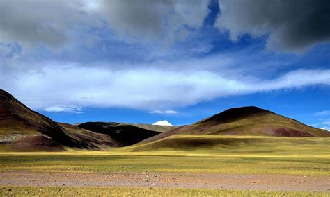 羌塘草原是西藏面积最大的纯天然草原，是中国最美六大草原之一|精灵|羌塘草原|草原_新浪新闻