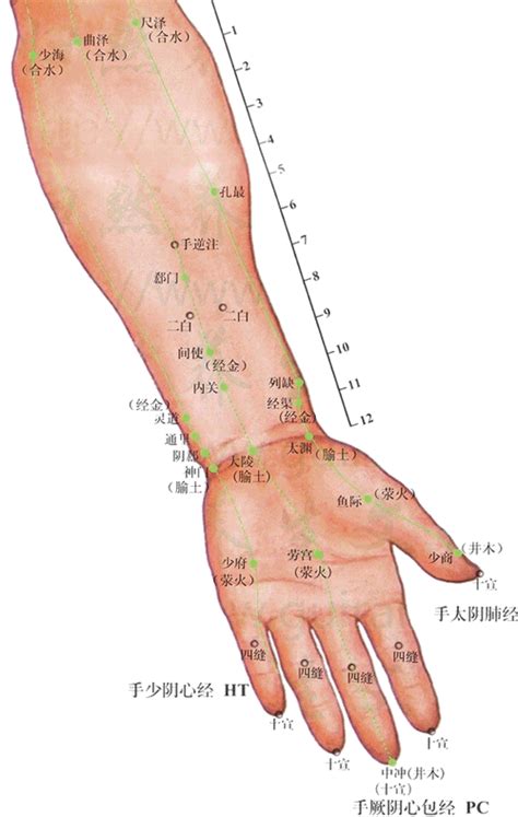 阴阳平衡：生命活力的根本 - 知乎