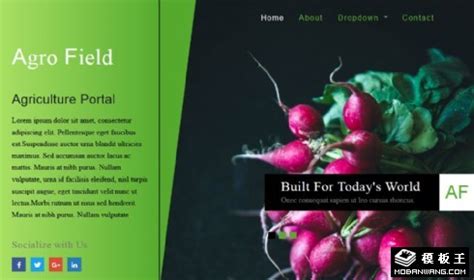 农业网站首页|网页|企业官网|山水一梦 - 原创作品 - 站酷 (ZCOOL)